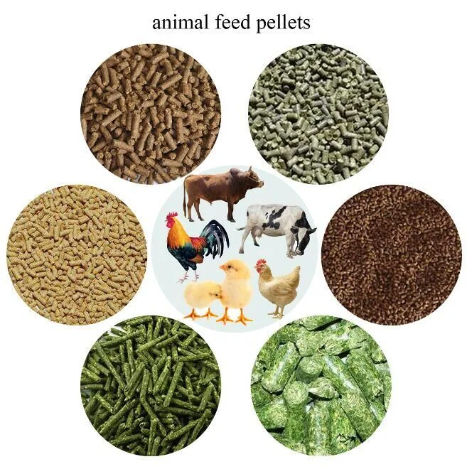 Animal Foods and Feeding Stuffs